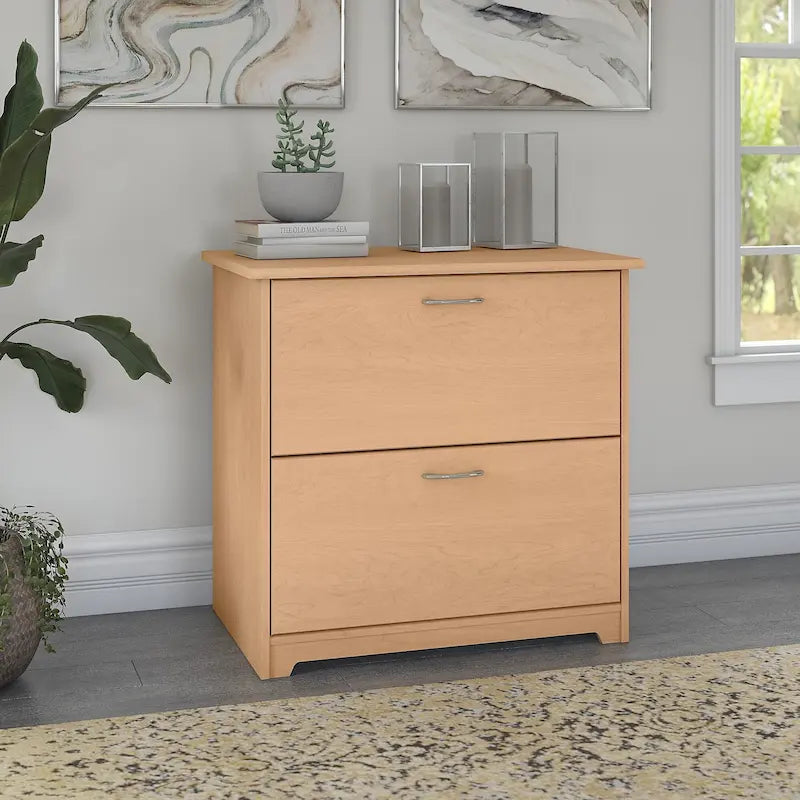 2 Drawer Lateral File Cabinet